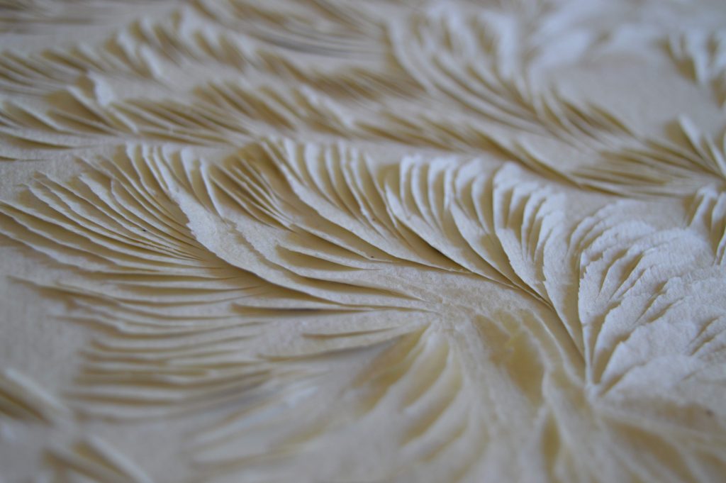 Tondo, 30 cm, Murmuration, Lea Valmain