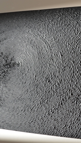 Murmuration noire
