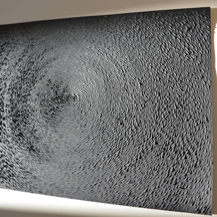Murmuration noire