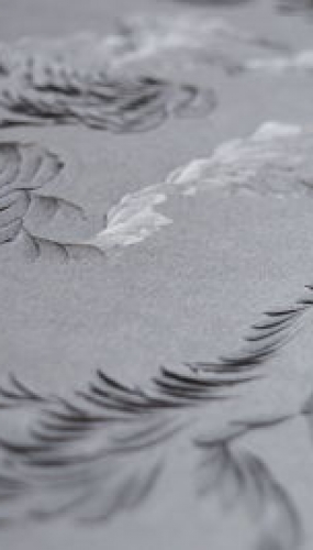 Murmuration IXc