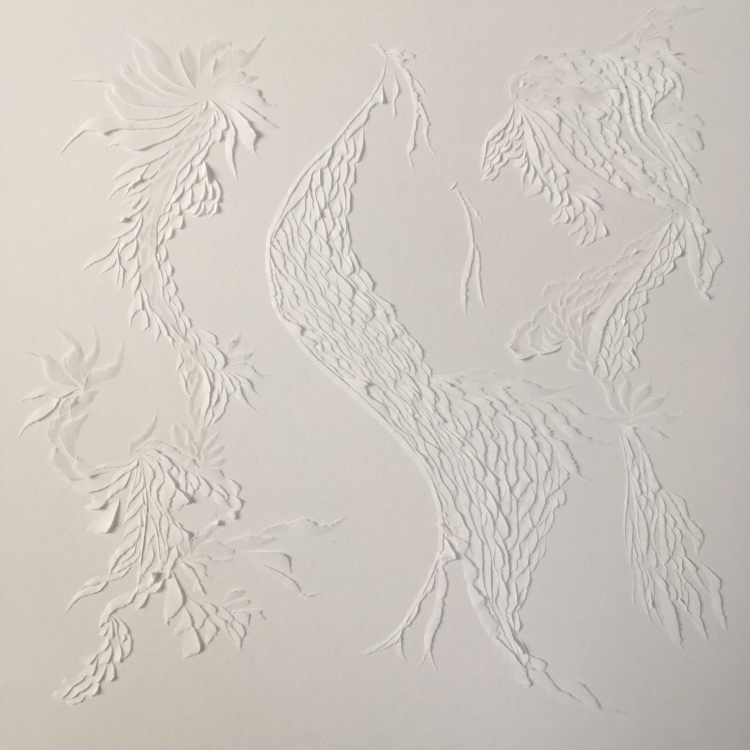 Murmuration, Lea Valmain, oiseau