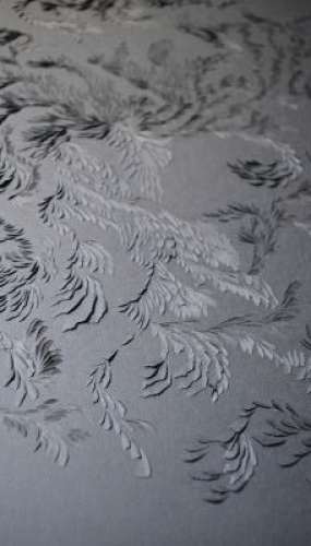 Murmuration VIIIb