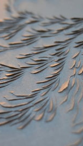 Murmuration VIIIc