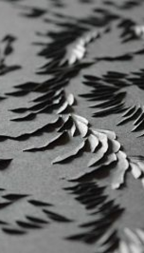 Murmuration X detail