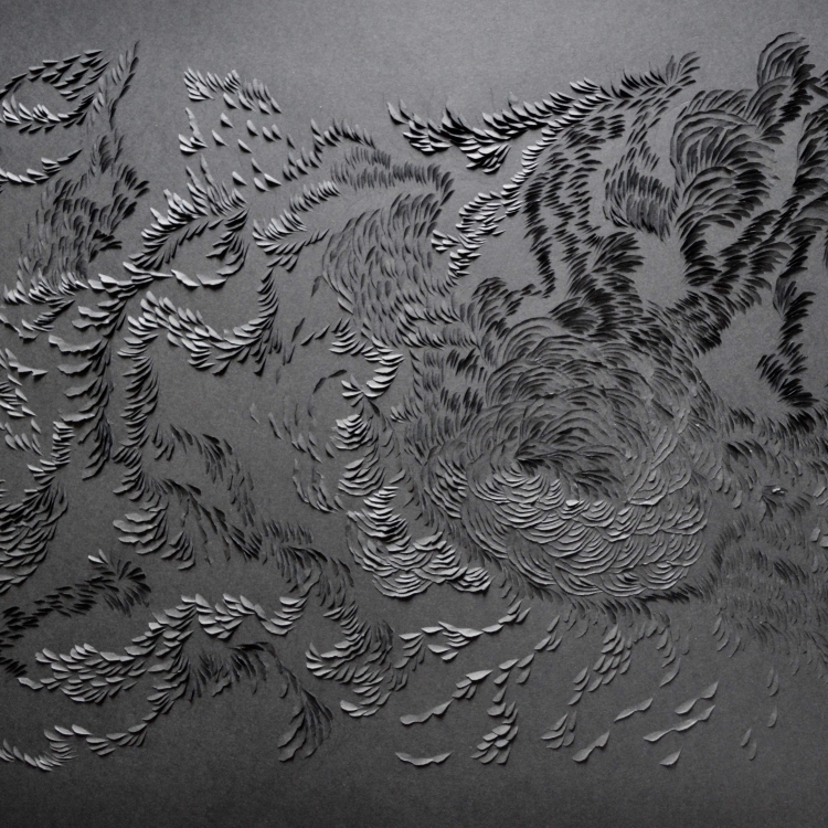 Murmuration X