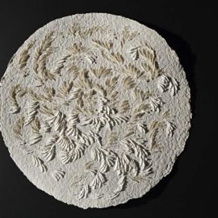 Murmuration XII