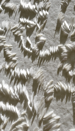 Murmuration blanche