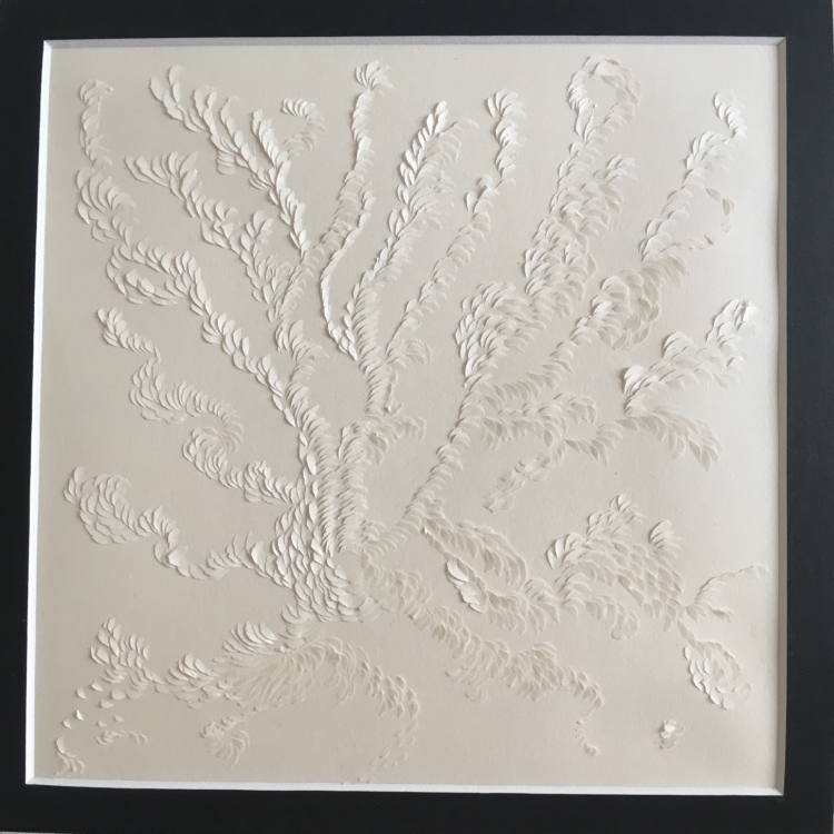 Murmuration nacrée, Lea Valmain