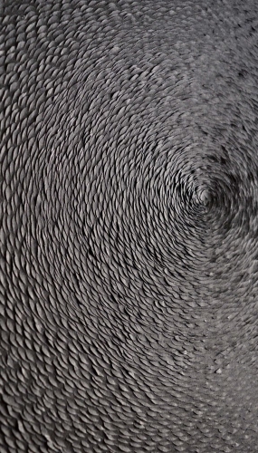 Murmuration_rosace