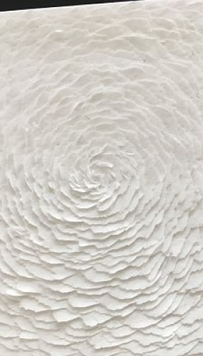 Rose-Murmuration_Lea Valmain