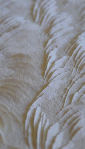 Tondo detail