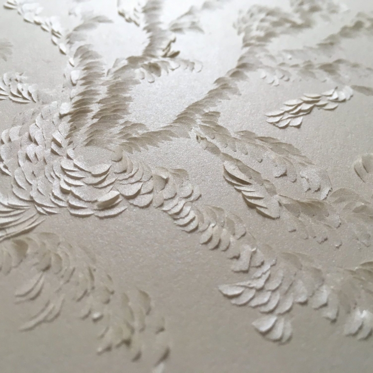 detail, murmuration